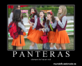 /album/fotogaleria-d-grachi/a4-png1/